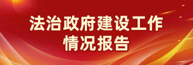 法治政府建設(shè)工作情況報(bào)告